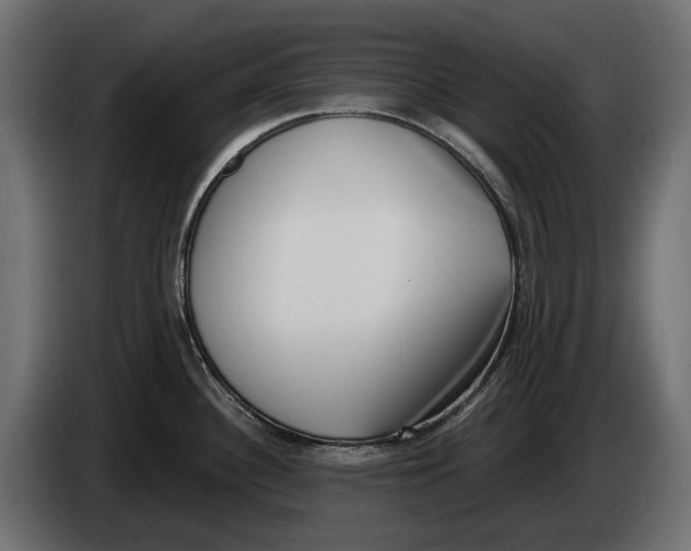 X0000083531340200703021542