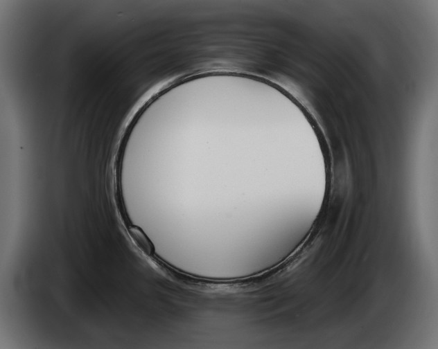 X0000083531341200703021542