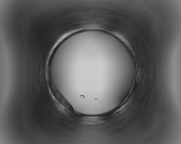 X0000083531342200703021542