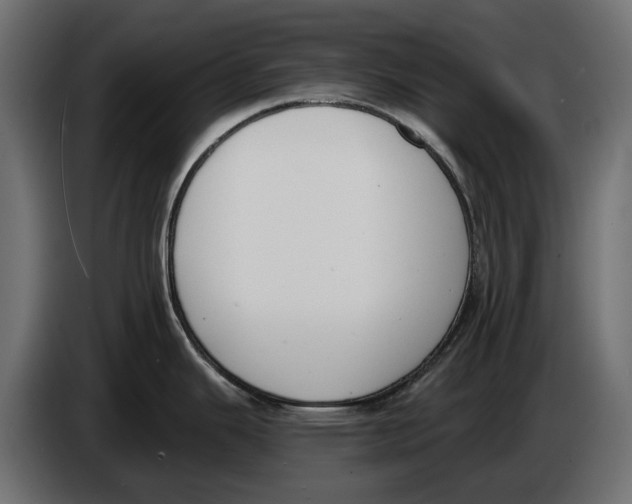 X0000083531343200703021542