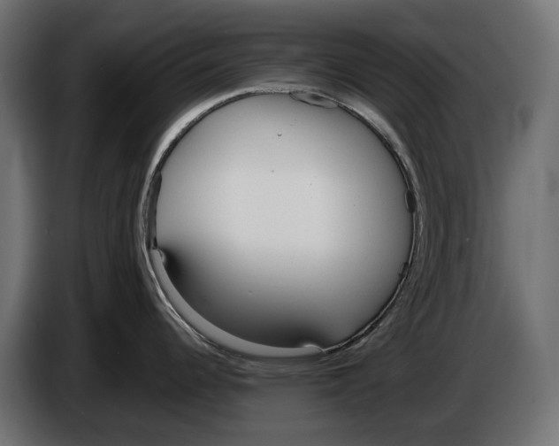 X0000083531344200703021542