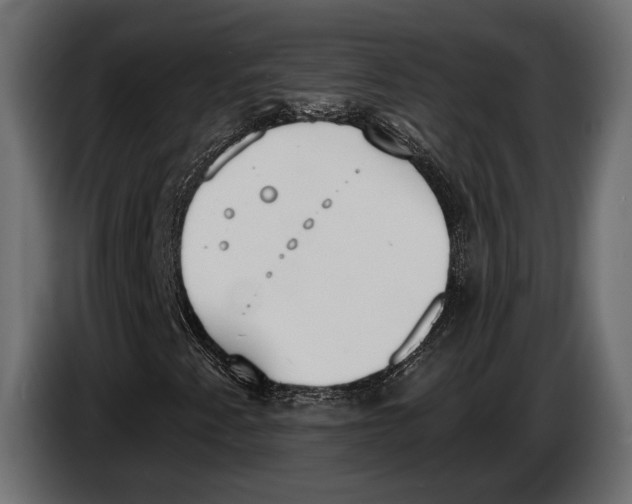 X0000083531345200703021541