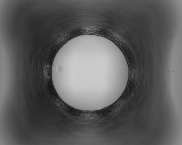 X0000083531346200703021541