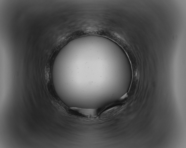 X0000083531348200703021541