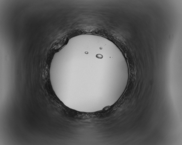 X0000083531349200703021541