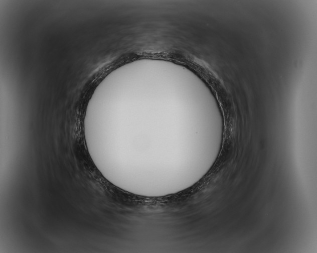 X0000083531350200703021541