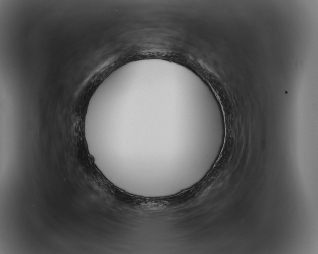 X0000083531351200703021541