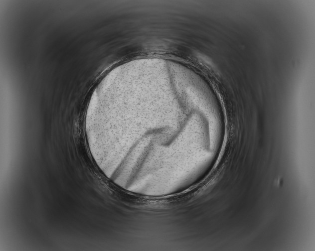 X0000083531353200703021541