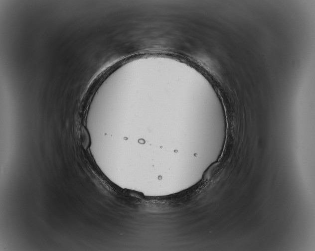 X0000083531356200703021541