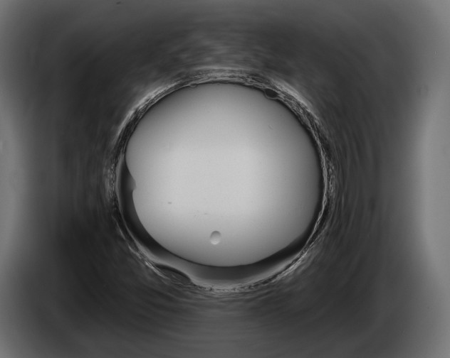 X0000083531357200703021541