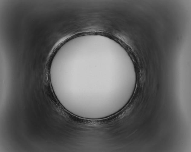 X0000083531358200703021541