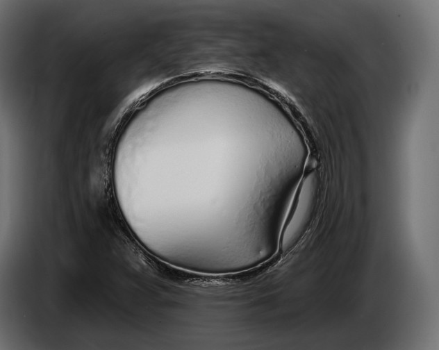 X0000083531359200703021541