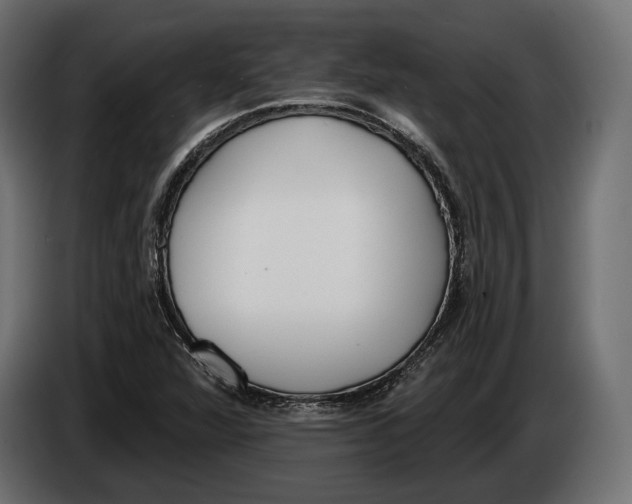 X0000083531360200703021541