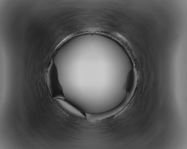 X0000083531361200703021541