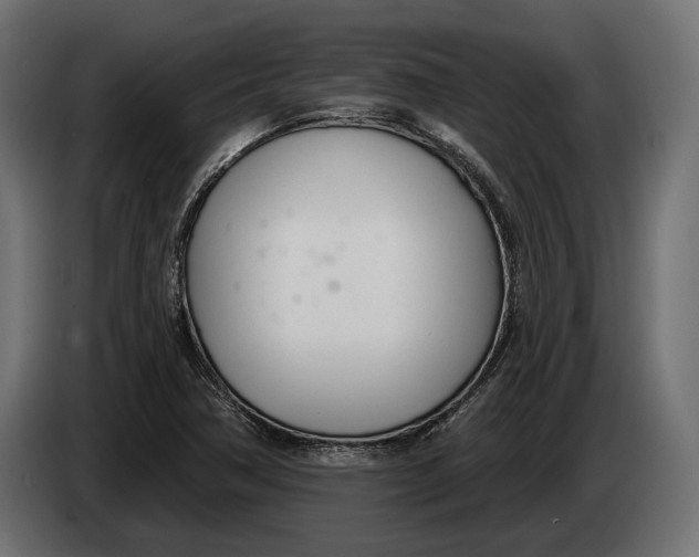 X0000083531362200703021540