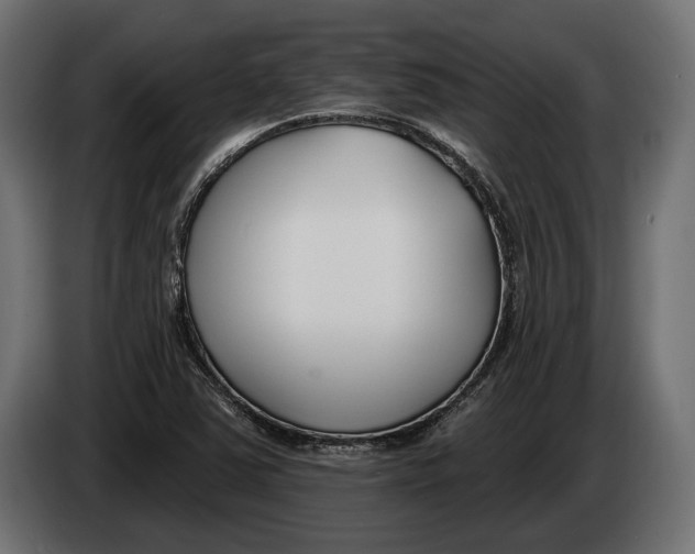 X0000083531363200703021540