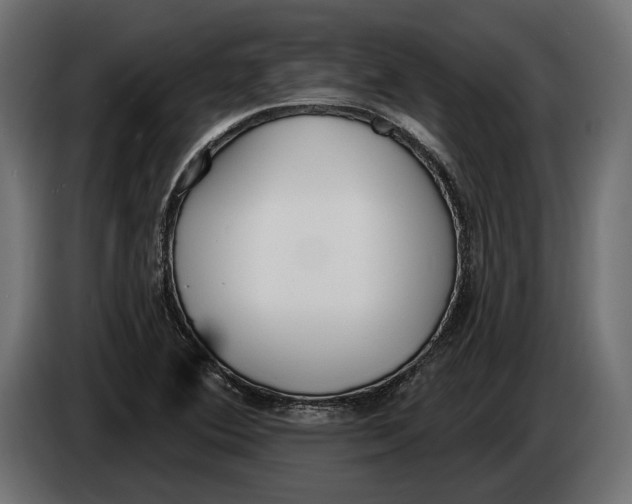 X0000083531364200703021540