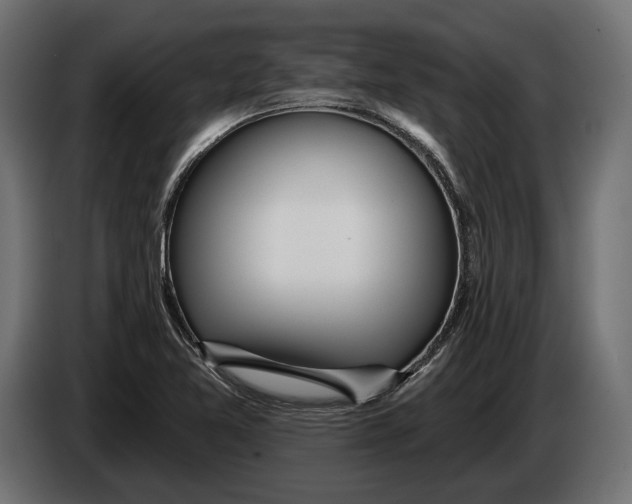 X0000083531365200703021540