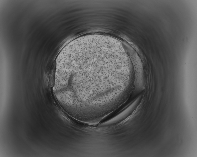 X0000083531369200703021540