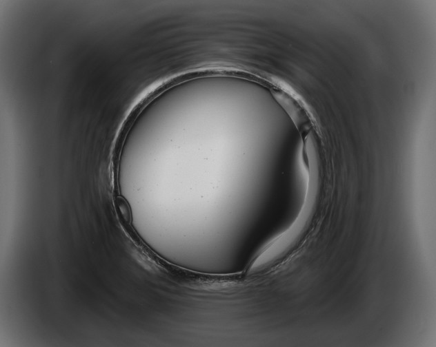 X0000083531372200703021540