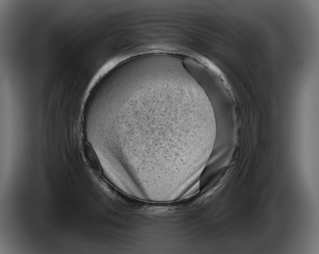 X0000083531373200703021540