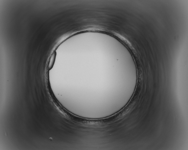 X0000083531375200703021540