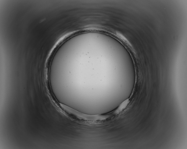 X0000083531376200703021540