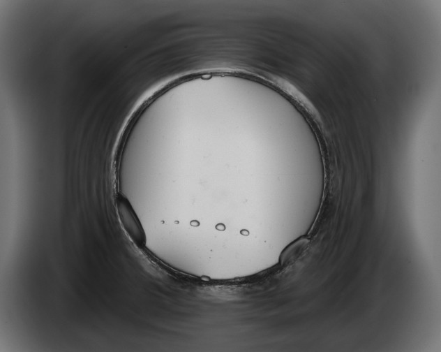 X0000083531380200703021540