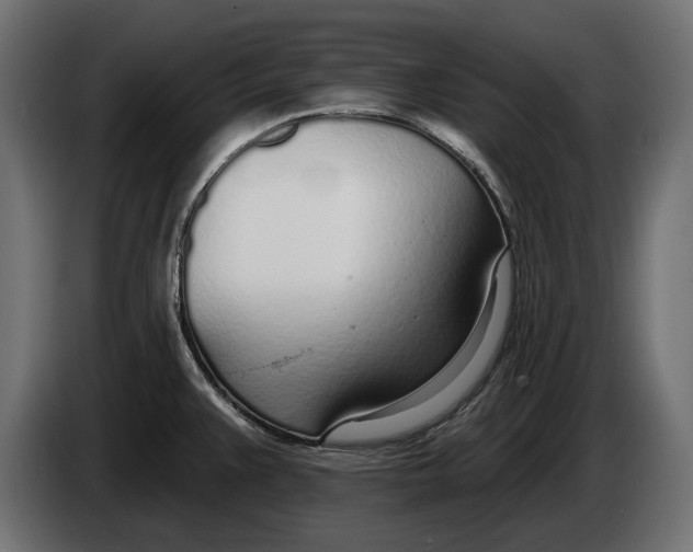 X0000083531383200703021540