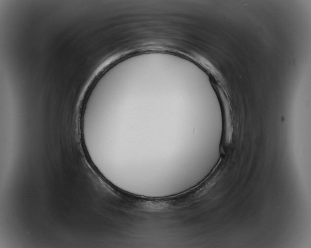 X0000083531384200703021540