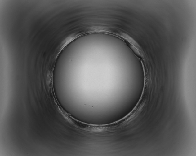 X0000083531385200703021540