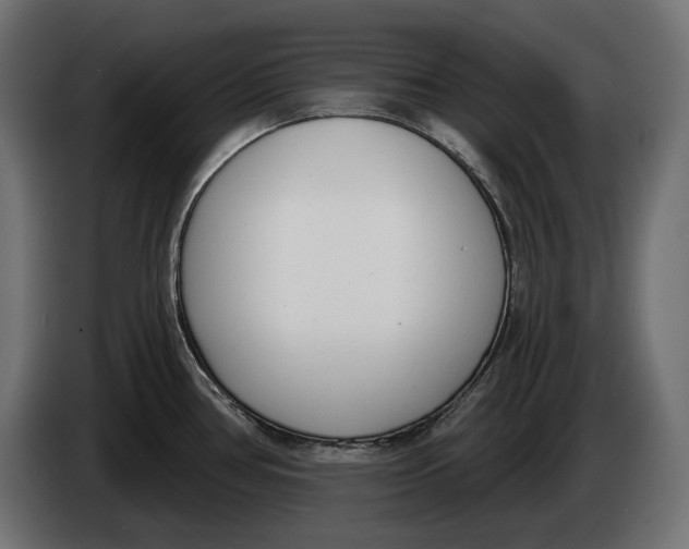 X0000083531386200703021540