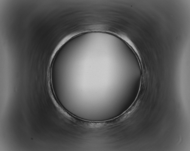 X0000083531389200703021540