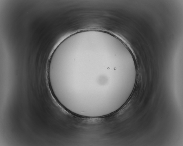 X0000083531390200703021540