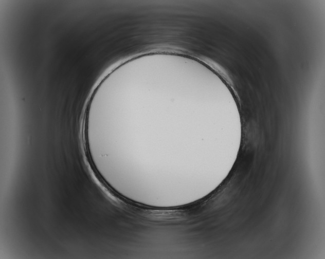 X0000083531391200703021540