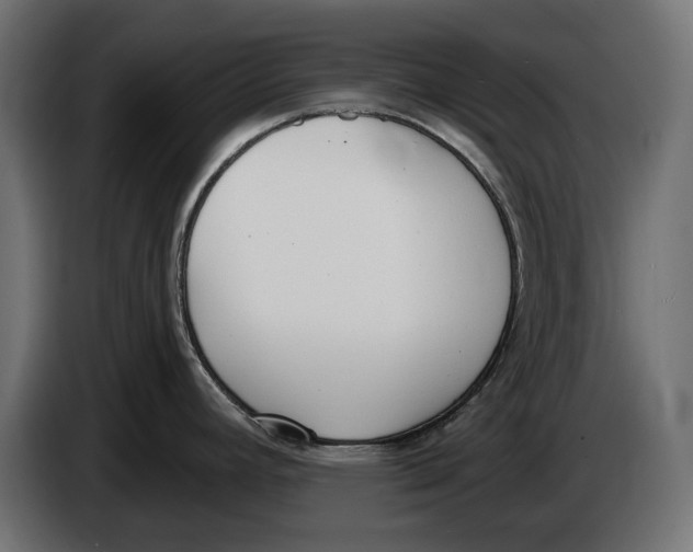 X0000083531392200703021540