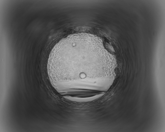 X0000083531393200703021539