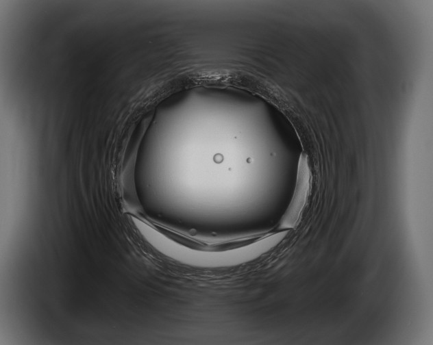 X0000083531394200703021539