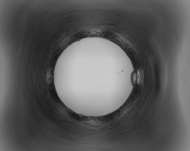 X0000083531395200703021539