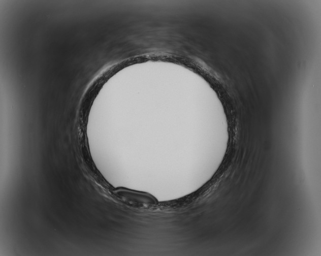 X0000083531400200703021539