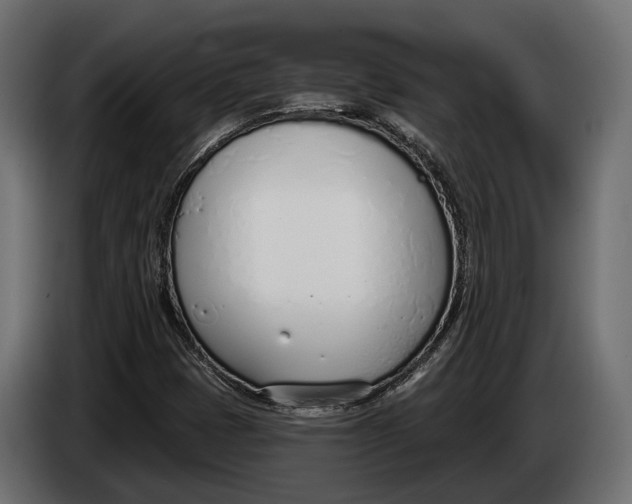 X0000083531401200703021539