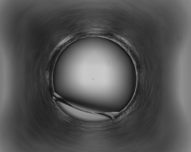 X0000083531402200703021539