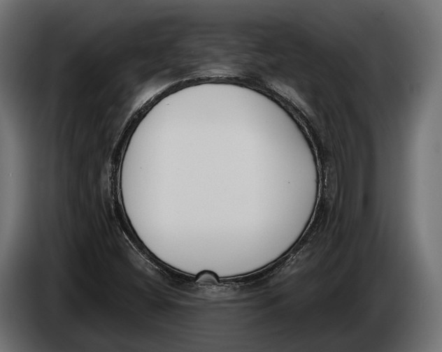 X0000083531404200703021539