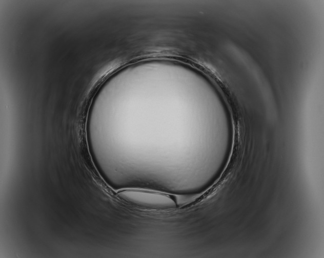 X0000083531405200703021539