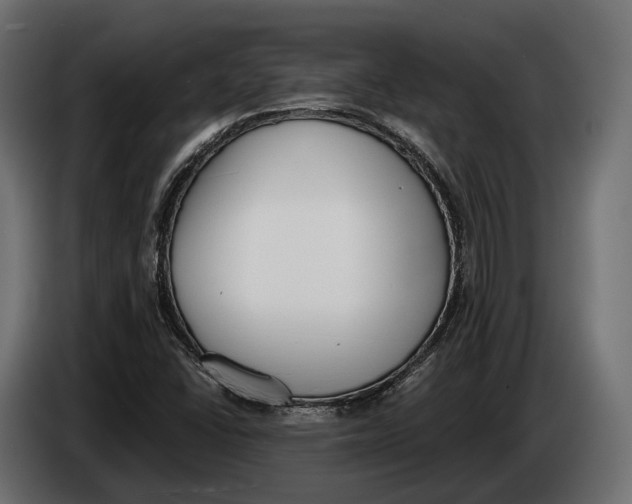 X0000083531406200703021539