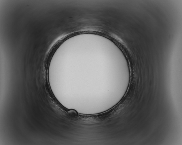 X0000083531408200703021539