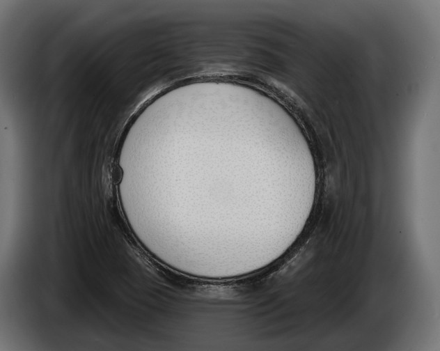 X0000083531409200703021539