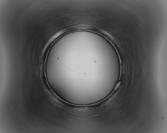 X0000083531410200703021539