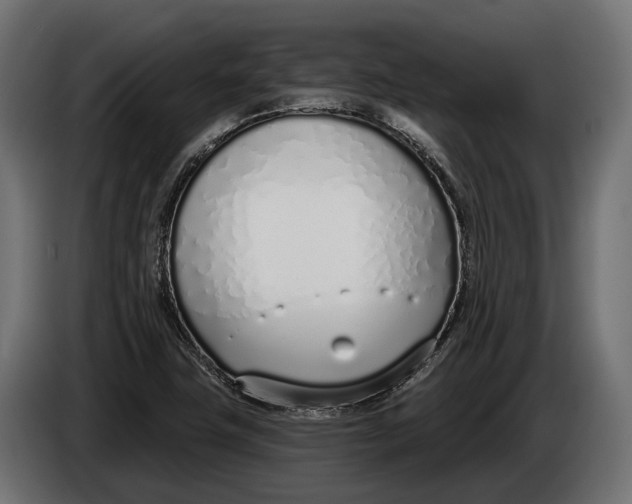 X0000083531411200703021539