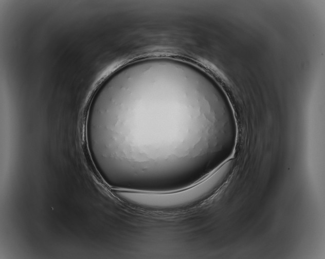 X0000083531413200703021539